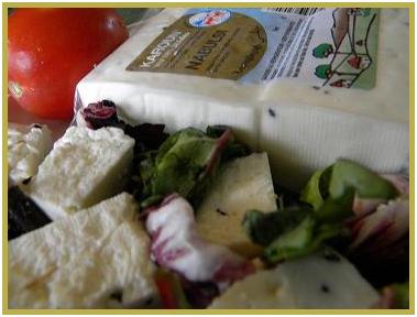 Authentic Nabulsi Cheese